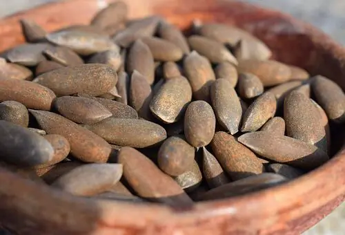 Pine Nuts (Chilgoza) Waziristan - 500g