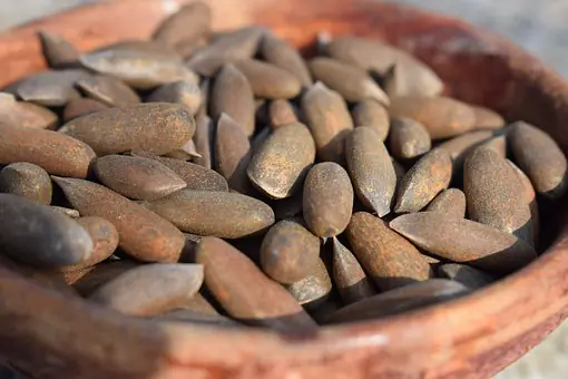Pine Nuts (Chilgoza) Waziristan - 500g