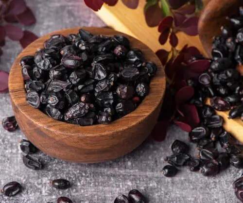 BLACK BARBERRY (زرشک شیریں) - 500g